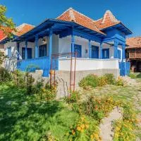 Casa de vacanta traditionala romaneasca, hotel en Schiuleşti