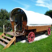 Wacky Stays - unique farm-stay glamping rentals, FREE animal feeding tours, hotel dekat Kaikoura Airport - KBZ, Kaikoura