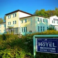 Meister BÄR HOTEL Vogtland, hotel v destinaci Reichenbach im Vogtland