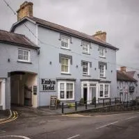 Gwesty'r Emlyn Hotel, hotel sa Newcastle Emlyn