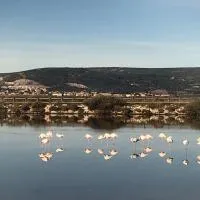 FLAMANTS ROSES 1 pers 6, hotel v destinaci Frontignan