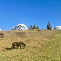 two horses grazing in a field with domes in the background at GLAMPING PARA PAREJA Y FAMILIA FRENTE LA LAGUNA DE SUESCA-mirador de la laguna, Suesca