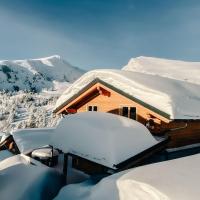 Heidi Chalets Falkert Heidialm - Chalets Bergwinter