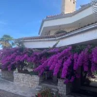 Villa Purić: Rovinj şehrinde bir otel