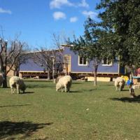 Beautiful cabin in Patagonia Chile., hotel cerca de Aeropuerto de Chile Chico - CCH, Chile Chico