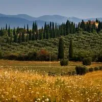 Tenuta di Poggio Cavallo, Hotel in Istia dʼOmbrone