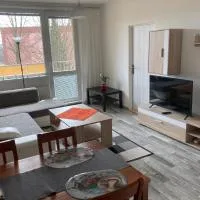 Apartmán ve Velkých Losinách, hotel en Velké Losiny
