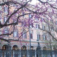 Hotel Napoleon, hotell Roomas