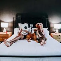 Wimberley Inn & bar, hotel en Wimberley