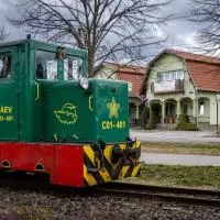 Megálló Wellness Panzió, hotel v destinaci Pálháza