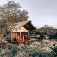 Honeyguide Tented Safari Camp - Khoka Moya, ξενοδοχείο σε Manyeleti Game Reserve