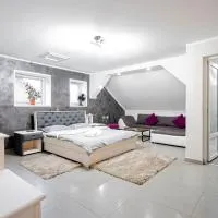 Cazare MOLDI - regim hotelier, готель у місті Кимпулунг-Молдовенеск
