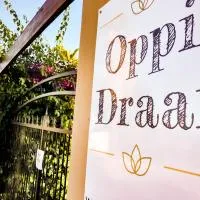 Oppi Draai Guesthouse, hotel din Oudtshoorn