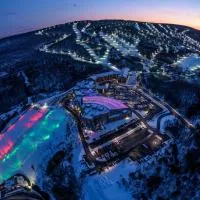 Camelback Resort, hotel u gradu Tanersvil