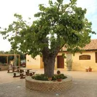 Al Grande Gelso, hotel sa Cariati