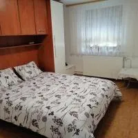 Bela golobica Bogojina, hotel i Bogojina