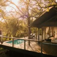 Manyoni Private Game Reserve에 위치한 호텔 Rhino Sands Safari Camp