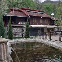 Cabana FARIO Rau Mare - Retezat – hotel w mieście Clopotiva
