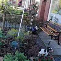 B&B Bij de koeien โรงแรมในTubbergen