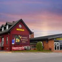Timėjas, hotel u gradu 'Ringaudai'