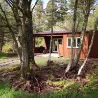 The Cabin at Easter Arr, hotell i Auldearn