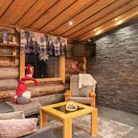 Polar Aurora Cabins، فندق في ساريسيلكا