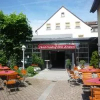 Hotel Drei Kronen, khách sạn ở Burgkunstadt