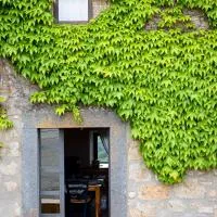 Acqua di Civita Beauty & Rooms in Mercatello, хотел в Баньореджо