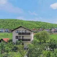 Pensiunea Albina, hotel en Sînnicoară
