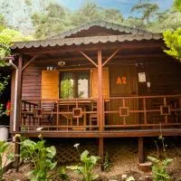 Ikiz Pension Bungalow, hotel Çıralıban