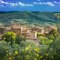 a village on a hill with flowers in the foreground at Castello di Volpaia, Radda in Chianti