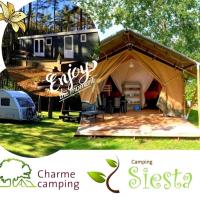 Camping Siesta, hotel in Lille