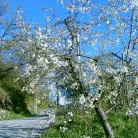B&B Casa Rosella - Country house, хотел в Bellegra
