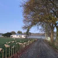 Wairoa में, होटल The Cottage @ Aranui