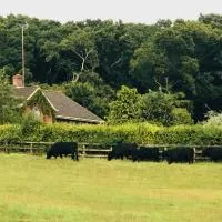 Yellowham Farm, Dorchester: Yellowham Wood şehrinde bir otel