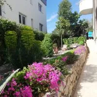 Villa Maslina, hotel i Zadar