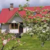 Mesikamäe Saunamaja, viešbutis mieste Pelva