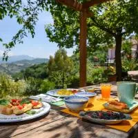 B&B Albachiara Casa di Campagna, hotel i Ogliastro Cilento