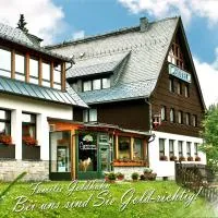 Ferienhotel Mühlleithen, hotel em Klingenthal