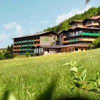 Natura Hotel Bodenmais - inkl Soft- und Heißgetränkeflat, hotel em Bodenmais