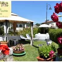 Al Vecchio Glicine, viešbutis mieste Gábria