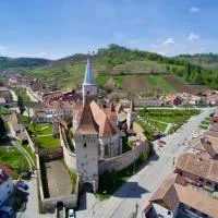 Burg Apartments Meschen, hotel i Moşna