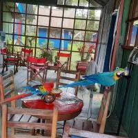 Cabañas alto del aguila, hotell i Puerto Nariño