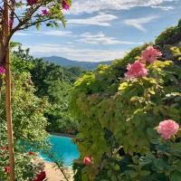 Il Pezzatino, hotel en Rufina
