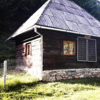 Cozy hut Retreat in the wild nature of Romania