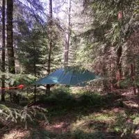 Baumzelt im Wald, ξενοδοχείο σε Regen