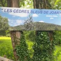 Cèdres Bleus de Joany chez Nathalie, hotel a Viviez