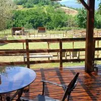 Chambre d'hôtes Le Petit Ranch、Los Masosのホテル