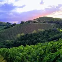 Agricola Lanciani, viešbutis mieste Montefiore dellʼAso