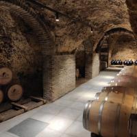 a wine cellar with a row of wine barrels at Posada Mayor de Migueloa, Laguardia